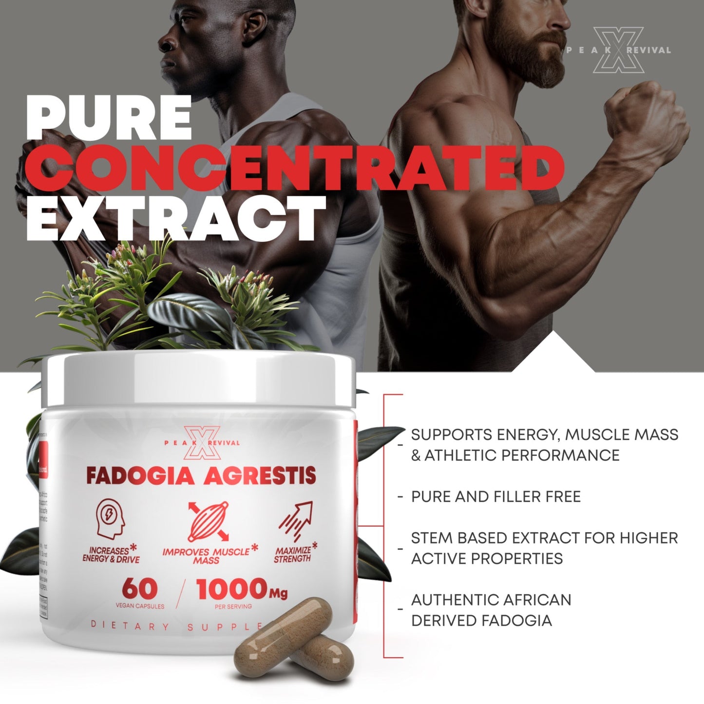 Fadogia Agrestis Supplement 1000mg Per Serving